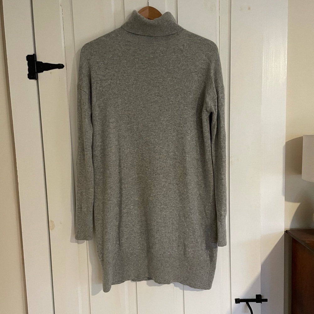 Everlane Cashmere Turtleneck Dress